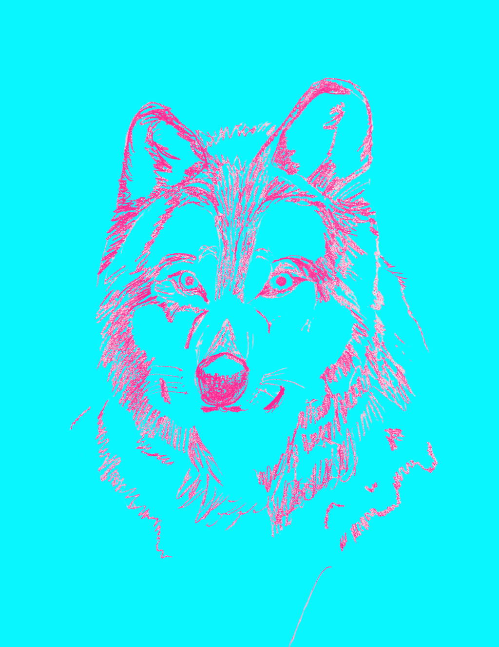 Serious Tigers Eat Breakfast Too