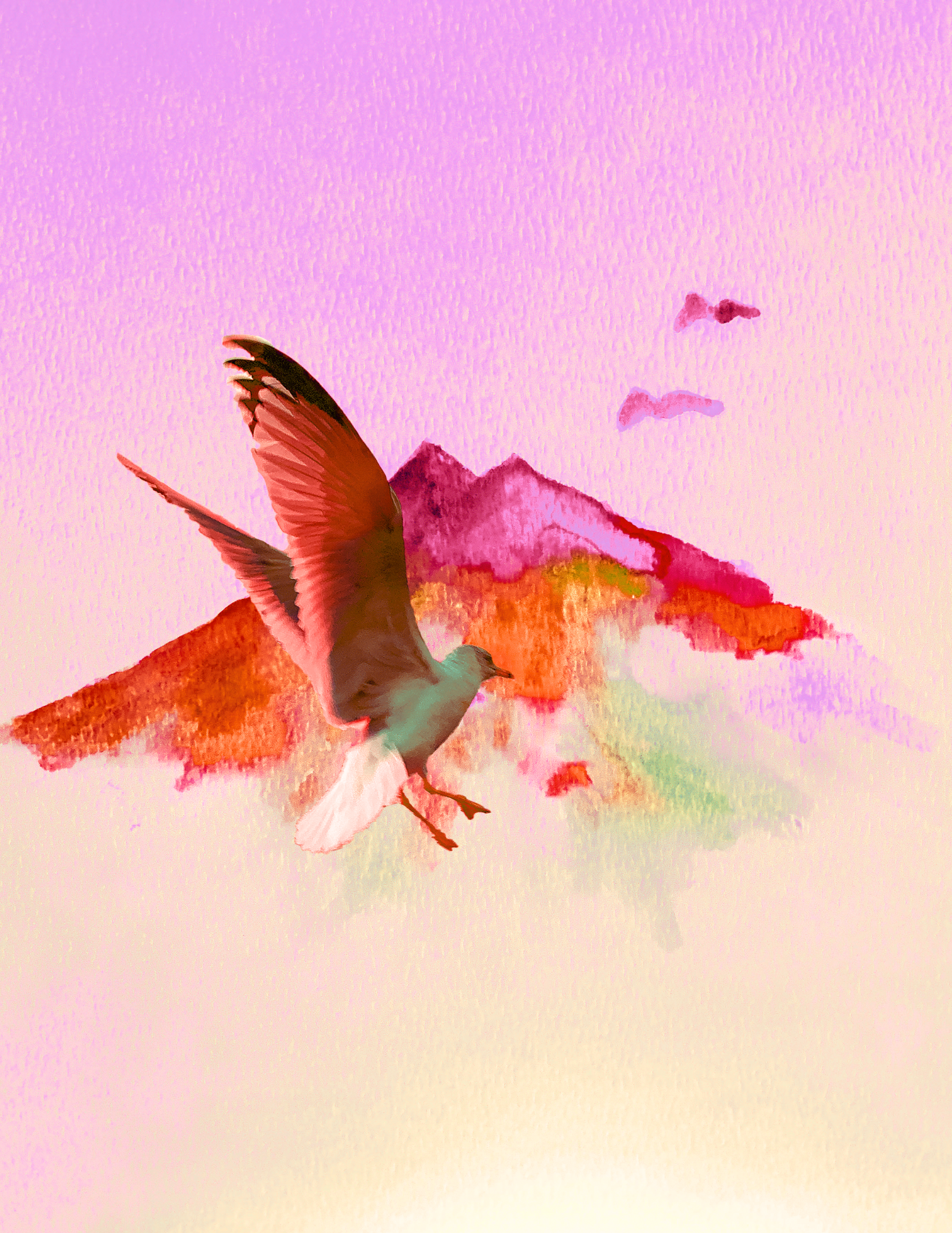 Birds Flying Highhhh