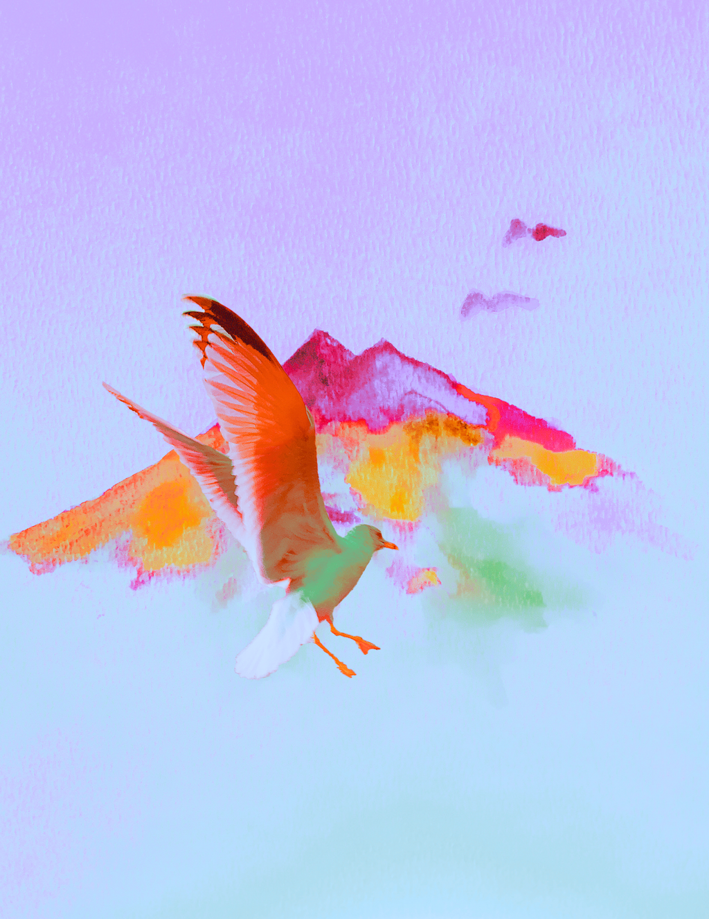 Birds Flying Highhhh