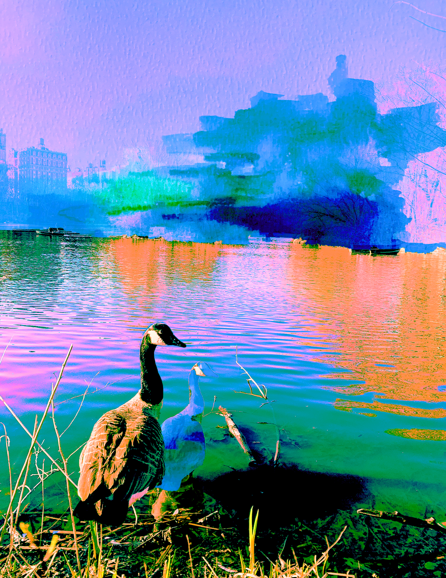 The Birds are Calm, Why Aren't I??