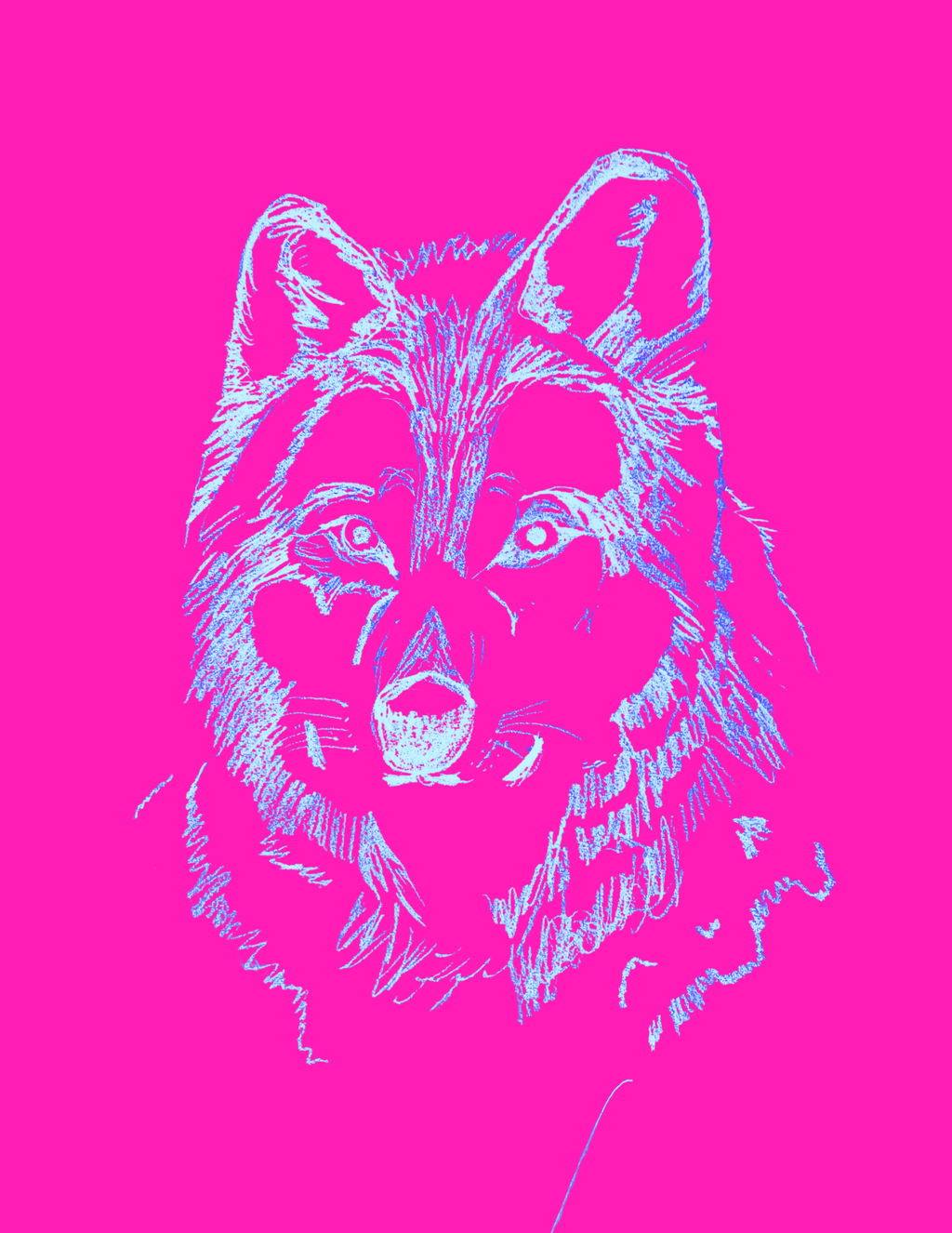 Serious Tigers Eat Breakfast Too