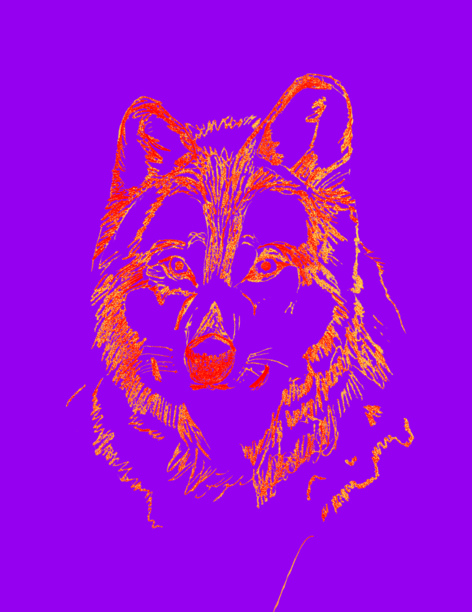 Serious Tigers Eat Breakfast Too