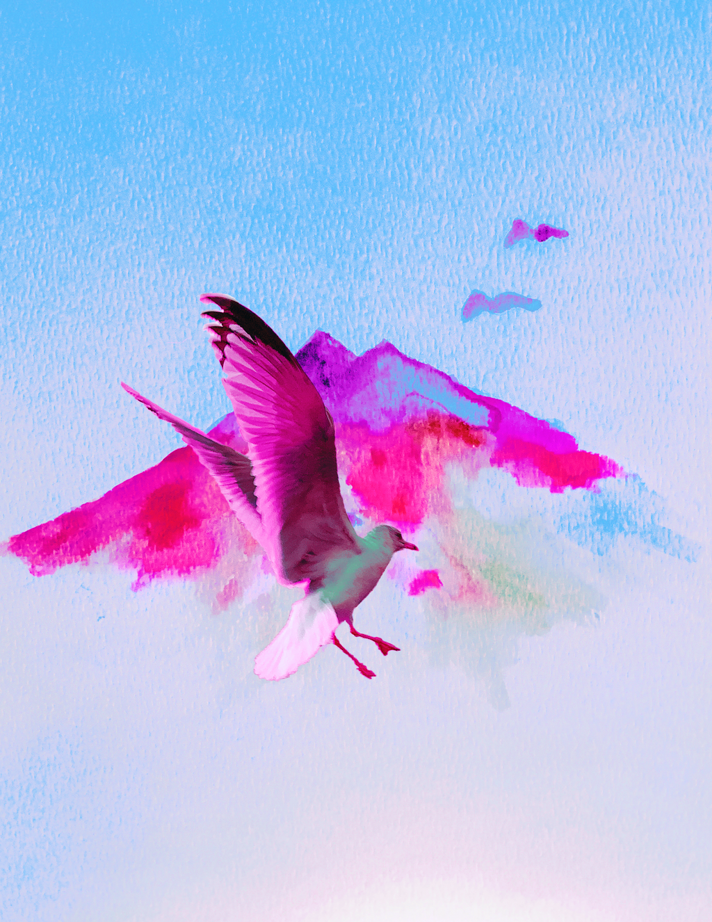 Birds Flying Highhhh