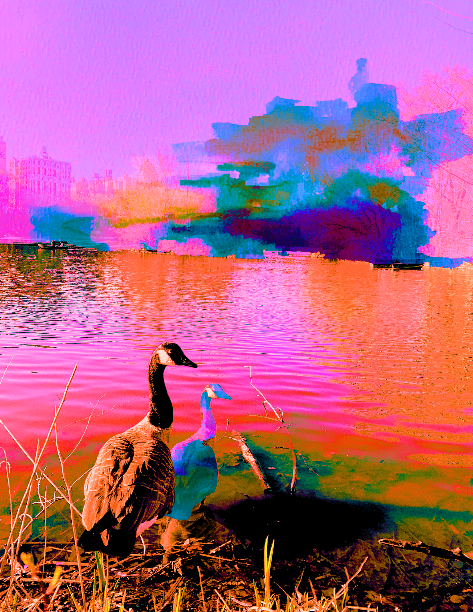 The Birds are Calm, Why Aren't I??