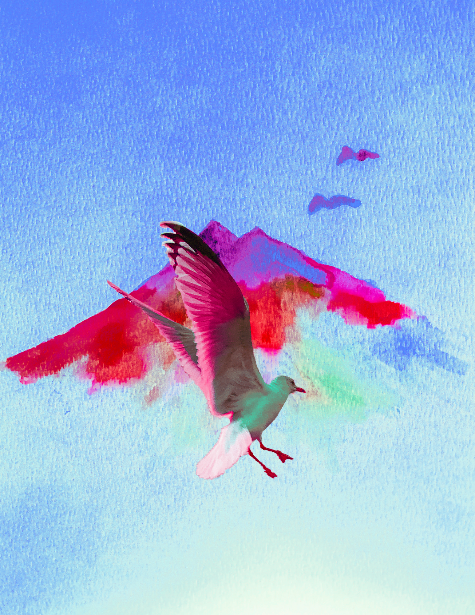 Birds Flying Highhhh