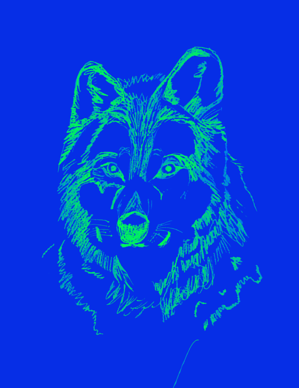 Serious Tigers Eat Breakfast Too